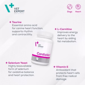 ترکیبات قرص Cardio One شامل تورین و ال کارنیتین