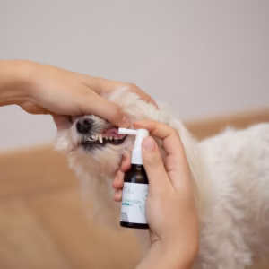 ژل تخصصی دهان و دندان سگ و گربه وت اکسپرت (VetExpert) مدل Stomaferin Ultra