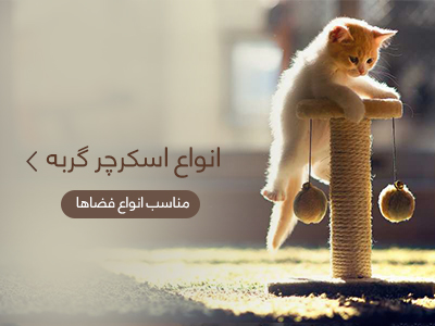 اسکرچر گربه