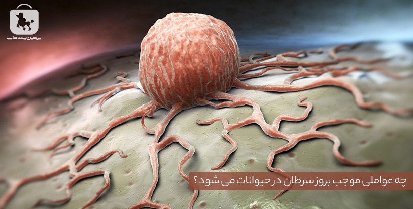 چه عواملی موجب بروز سرطان در حیوانات می شود؟