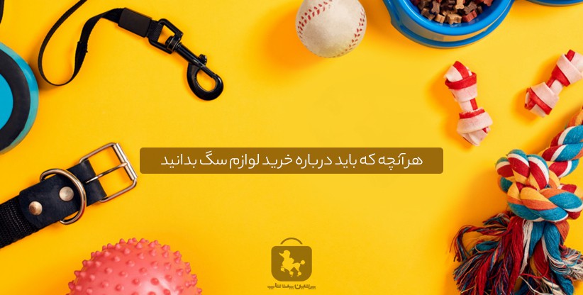 هر آنچه که باید درباره خرید لوازم سگ خانگی بدانید