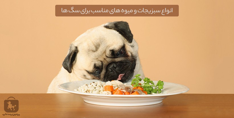 انواع سبزیجات و میوه های مناسب برای سگ ها