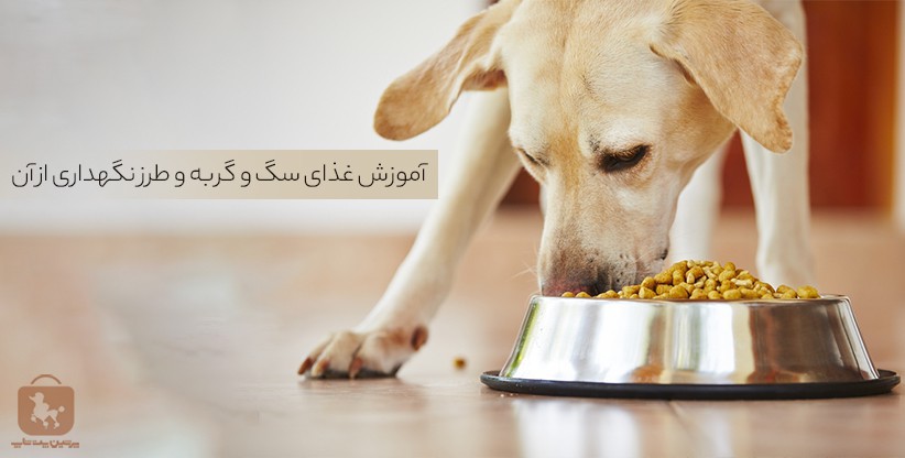 آموزش غذای سگ - پرشین پت شاپ