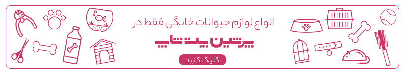 معرفی سگ استرالین شپرد 11 PersianPetshop