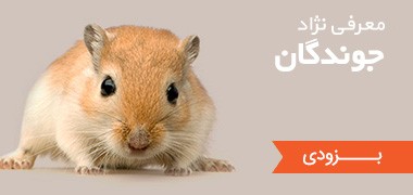 نژاد جوندگان