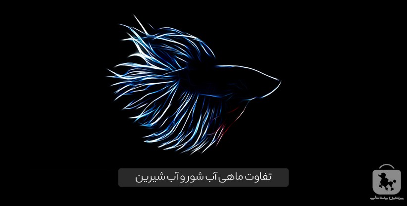 تفاوت ماهی آب شور و آب شیرین