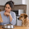 سویا برای سگ؛ آیا مجاز است و چه مقدار؟