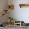 قلمروطلبی گربه؛ نشانه‌ها و مدیریت منابع بدون درگیری