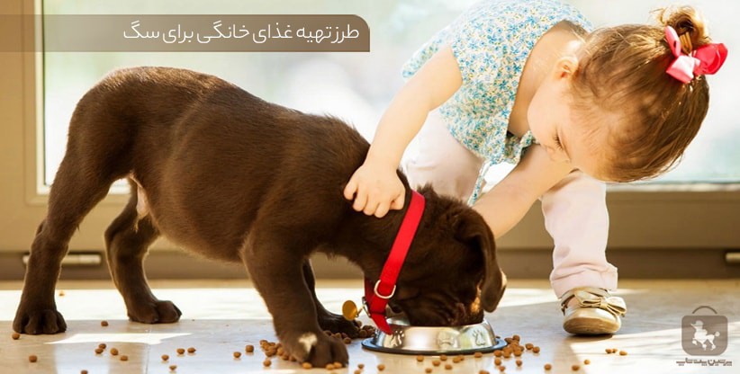 dog food 1