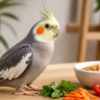 میوه و سبزی مجاز برای عروس هلندی